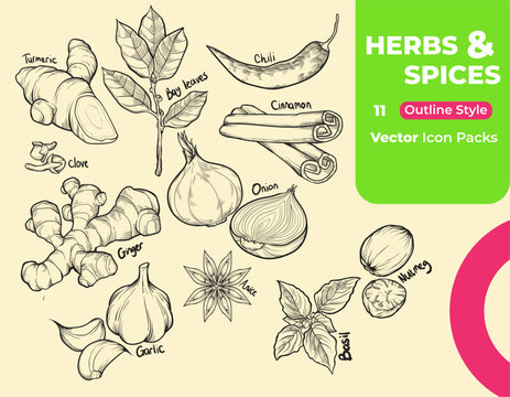 Hand-drawn outline sketch of common herbs and spices. Items include turmeric, chili, cinnamon, cloves, ginger, garlic, and more. Sketch style highlights texture and form with delicate lines