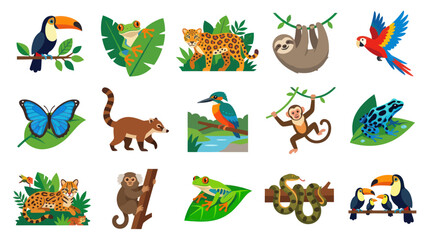 Fototapeta premium Flat Vector Illustration of Amazon Rainforest Animals and Birds