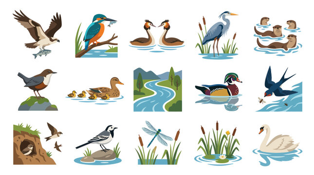 Flat Vector Illustration Collection of Water Birds and Aquatic Animals in Natural Habitats