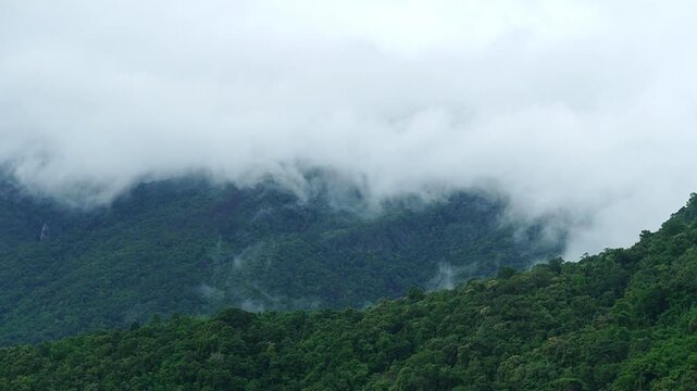 Dramatic cloud timelapse with dense white fog and mist rolling over a lush green mountain forest.