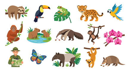 Fototapeta premium Flat Vector Set of Amazon Rainforest Animals and Ranger, Jungle Wildlife Illustration