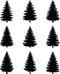 Obraz premium Black Pine Tree Silhouettes Set Isolated on White for Forest Design and Holiday Graphics
