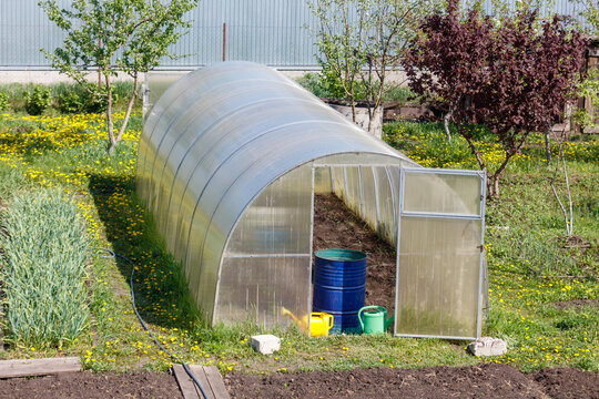 Greenhouse stands in sunny garden bed