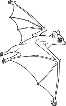 Colugo Flying Lemur Gliding Line Art Vector Illustration