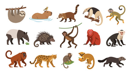 Fototapeta premium Cute South American Animals Flat Vector Set. Amazon Rainforest Wildlife Collection with Sloth, Jaguar, Monkeys