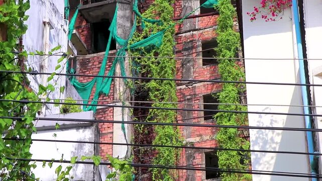Insane viral abandoned luxury hotel jungle takeover ultimate investment failure in Thailand.