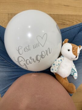 Annonce du sexe du b&eacute;b&eacute; avec ballon blanc et doudou sur ventre de femme enceinte