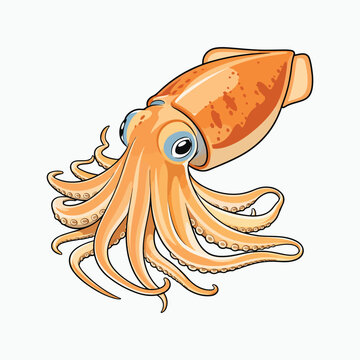 Cartoon squid with flowing tentacles vector illustration
