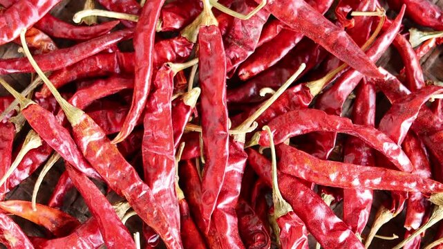 close-up video of vibrant red dried chilies with an excellent texture, perfect for use as background image in culinary, spice, and food contexts.