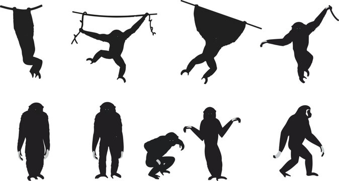 Primate silhouettes in various poses