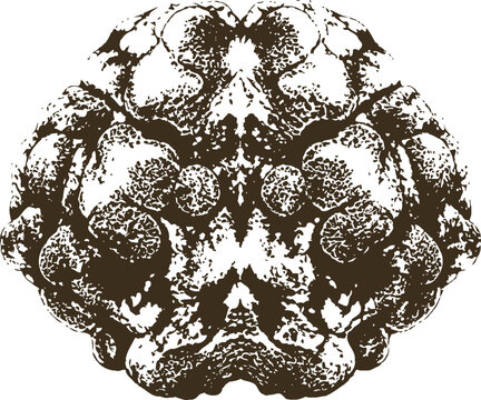 Earthy rorschach style inkblot, irregular truffle shape, detailed texture, abstract organic pattern.