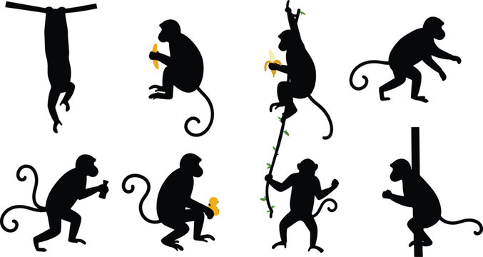 Silhouette monkey illustrations various poses
