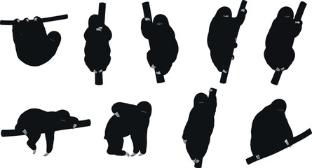 Obraz premium Sloth silhouettes on branches