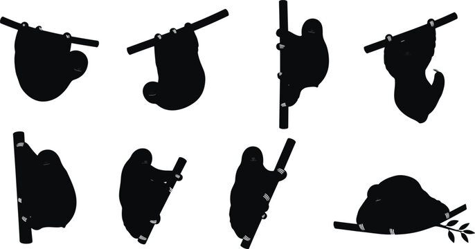 Sloth silhouettes various poses
