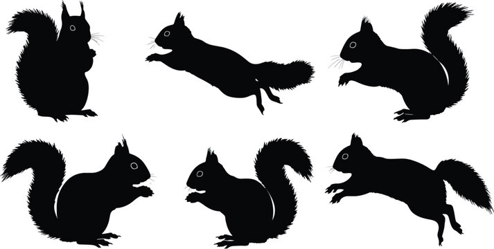 Squirrel silhouettes set