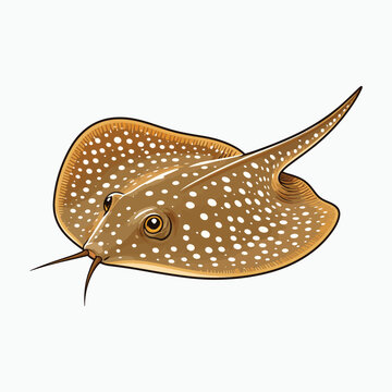 Decorative spotted stingray vector illustration