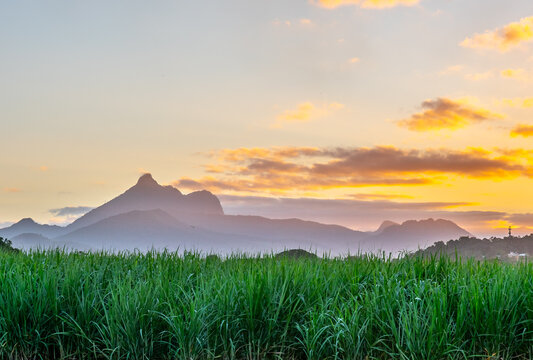 Sunset over Wollumbin with Sugar Cane in the foreground