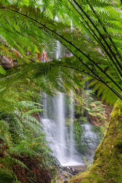 Russell Falls Waterfall surrounded by the lush green ferns and foliage