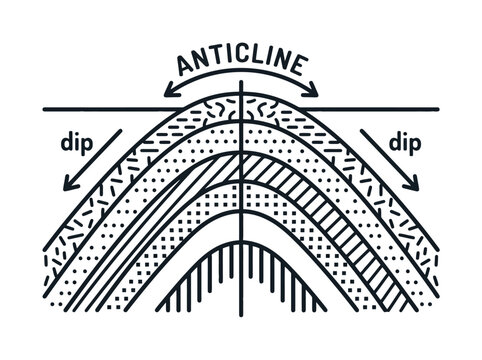 Vector diagram illustrates geological anticline and dip in folded rock layers