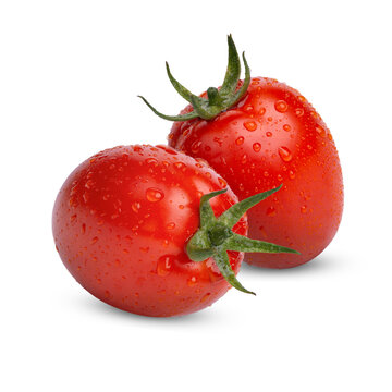 Fresh tomatoes with water drops isolated on transparent background (.PNG)