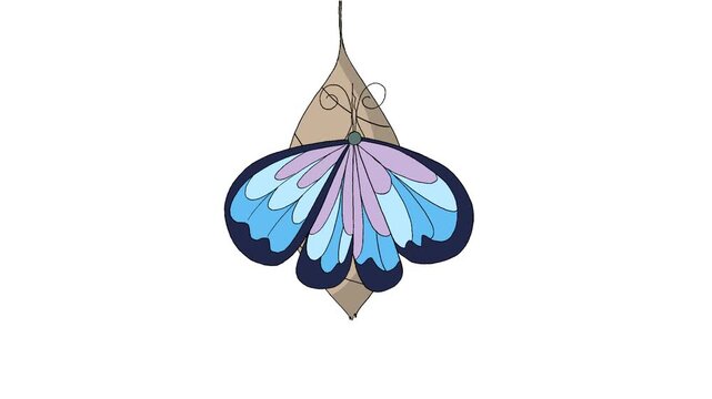 Beautiful blue butterfly hatching from cocoon animation. Hand-drawn vector cartoon character isolated on white for metamorphosis and nature videos