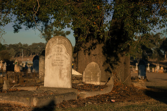 Old gravestones stand under a large tree in a quiet cemetery at sunrise