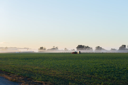 Tractor in farm lucerne crop paddock with mist settled on horizon line