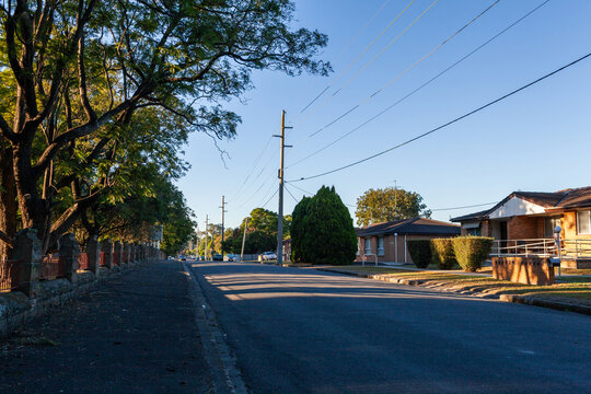 quiet street in town of Singleton in morning light with jacaranda trees casting shadows