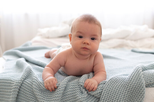 A cute five-month-old baby boy in a diaper lies on his tummy on a blue knitted blanket on the bed. Real child and real life. Lifestyle close-up portrait in home setting.