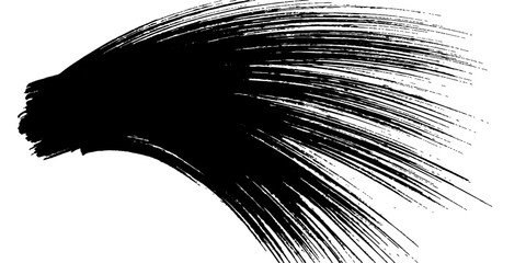 Black ink brush stroke that resembles a wild mane or tail, dynamic and abstract art. © Black Art