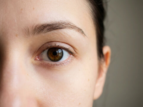 Extreme close up of a human brown iris with detailed texture and reflection macro