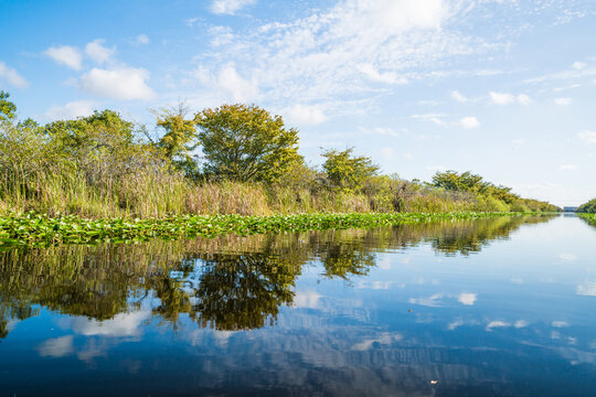 Calm river reflecting green trees and a blue sky