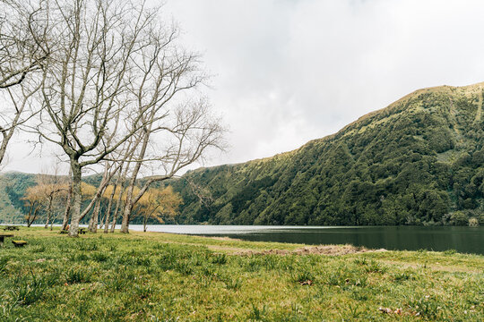 Peaceful lakeside meadow with trees and forested mountains