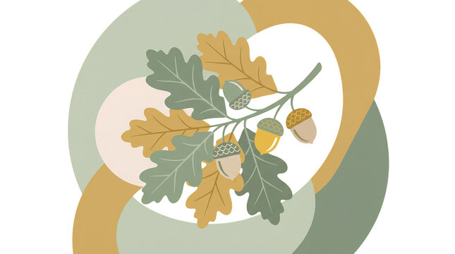 Illustration of oak leaves and acorns on a branch with abstract shapes