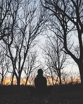 Peaceful Silhouette of a Person Meditating in a Forest at Sunrise