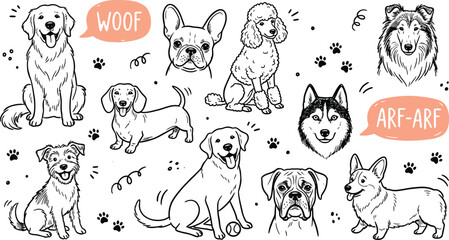 Fototapeta premium Dogs breeds dogs variety