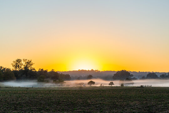 Rural farm landscape scene with mist ribbons settled over distant paddocks at dawn