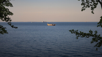 Panorama from the forested hill on the Gdańsk Bay with ships © Matt A. Hawk