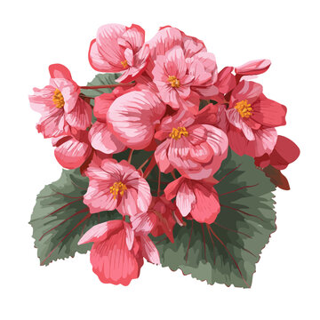 Begonia Bouquet, rendered in a minimalist 2D flat vector icon style against a pure white backdrop