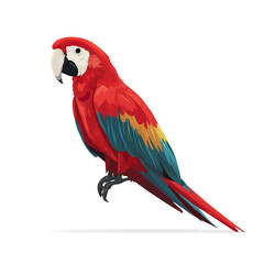 Macaw, illustrated as a clean 2D flat vector icon isolated on a white background © Alex