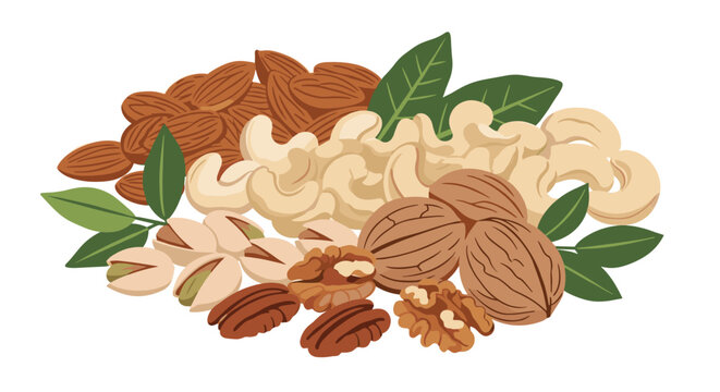 Assortment of healthy nuts including cashews, almonds, pistachios, walnuts, and pecans with green leaves on a white background.