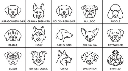 Dog Breeds, Vector Icons, 15 Dog Types, Black and White Line Art © Rosie