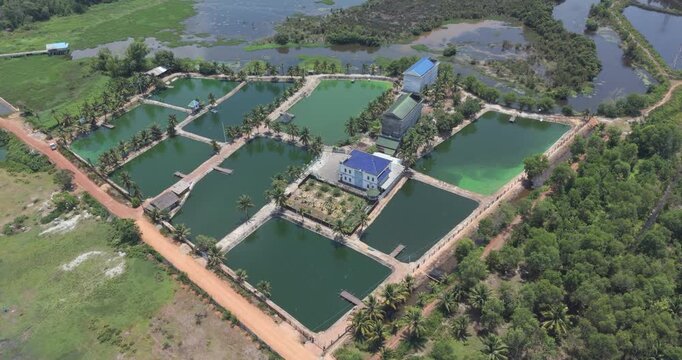 aerial view reveals an aquaculture complex featuring multiple rectangular ponds filled with green water, situated within a rural landscape with several buildings and palm trees.