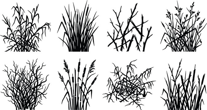 Swamp reeds and grass black silhouette vector set isolated on white background for landscape design elements