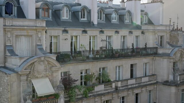 Haussmann building facade represents Paris residential real estate property heritage where historic apartment windows and balcony architecture attract European tourism accommodation investment.