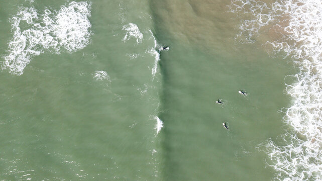 Aerial view of surfers floating in the greenish sea water with white foam waves at Bantham Beach in Kingsbridge, Devon, United Kingdom.
