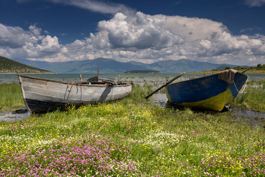 Fischerboote in Dolna Gorica, Fischerdorf, auf der albanischen Seite des Prespasees, Nationalpark Prespa, Dreil&auml;ndereck Albanien, Griechenland, Nordmazedonien, 30.05.2026 