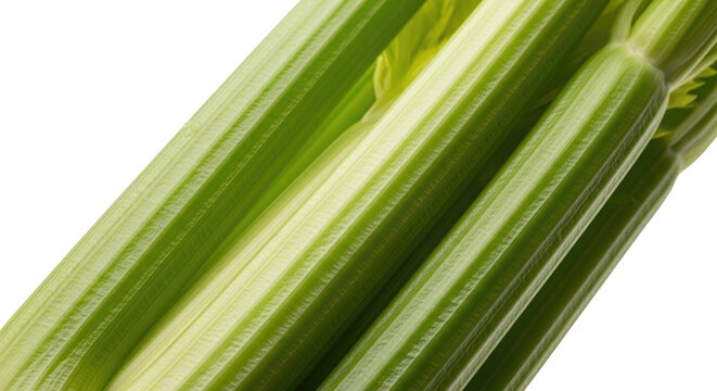 Close Up Image of Fresh Green Celery Stalks with Transparent Background