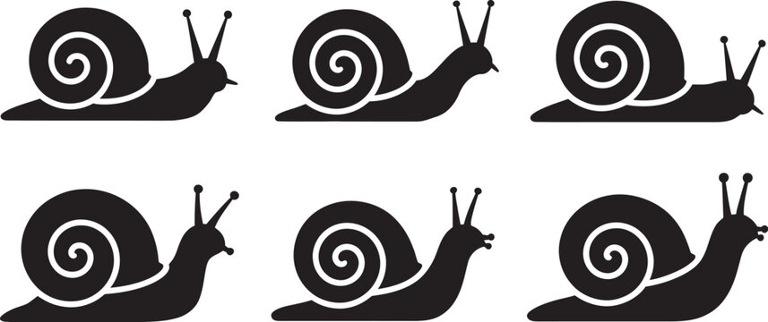 Black snail silhouette icon set, vector collection featuring six snails with detailed swirling spiral shells, slow movement poses, and clean black silhouettes isolated on a white background 