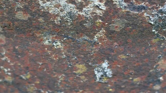 Slow Pan Across Weathered Rusted Metal Texture with Lichen and Oxidation